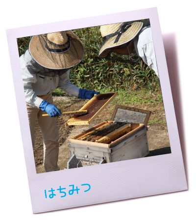 ecofarm_img1